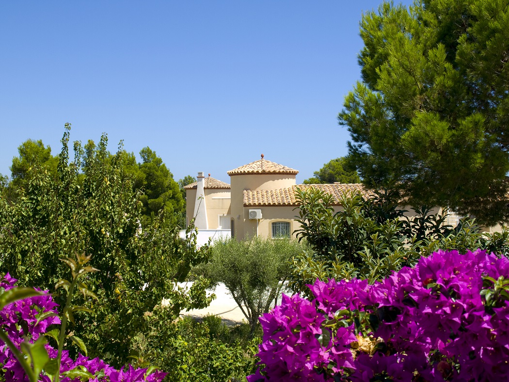 Luxury Villa - Mallorca Global Charter